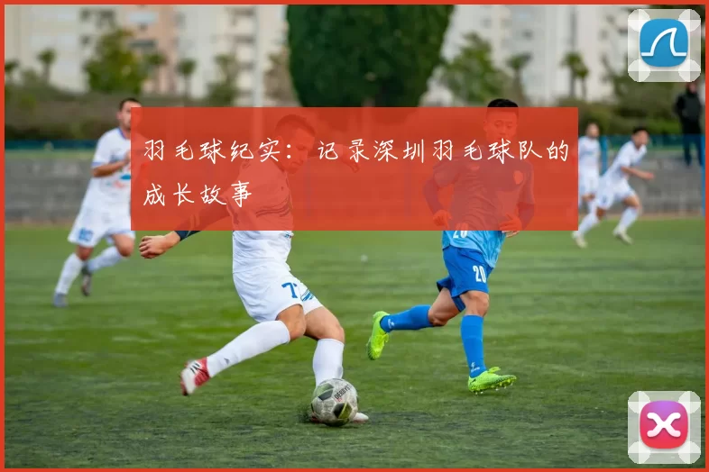 羽毛球纪实：记录深圳羽毛球队的成长故事