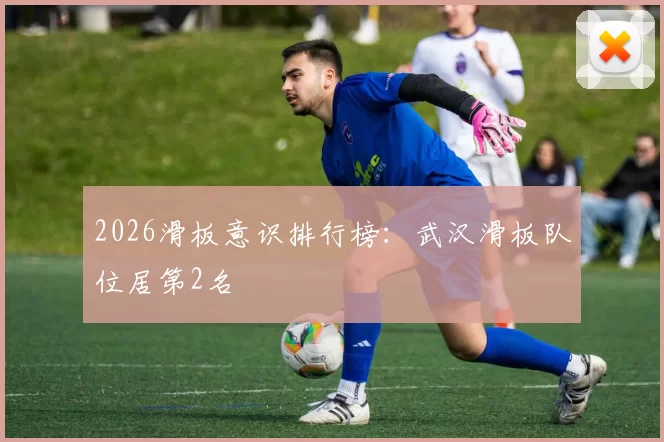 2026滑板意识排行榜：武汉滑板队位居第2名