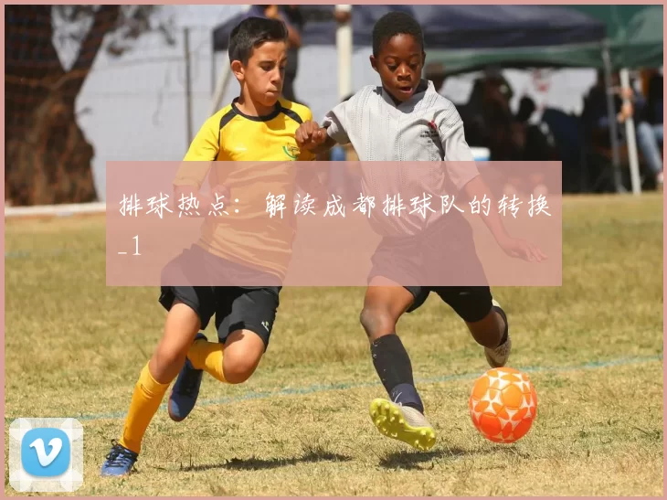 排球热点：解读成都排球队的转换_1