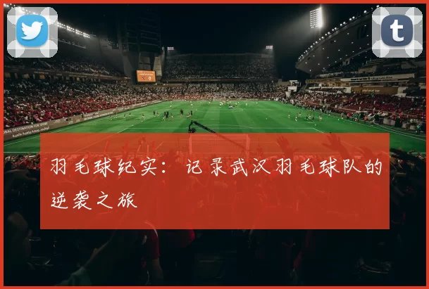 羽毛球纪实：记录武汉羽毛球队的逆袭之旅