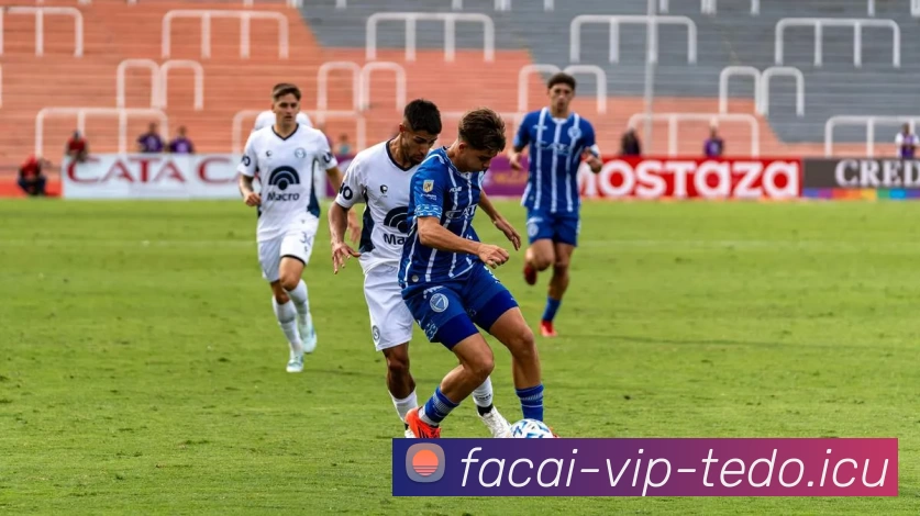 开云体育注册平台生态图